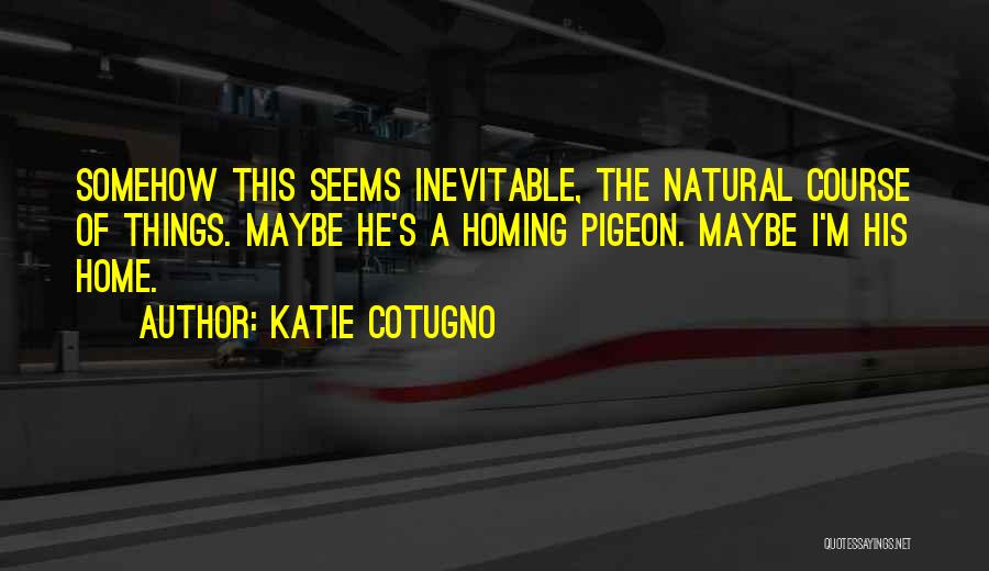 Katie Cotugno Quotes 298845