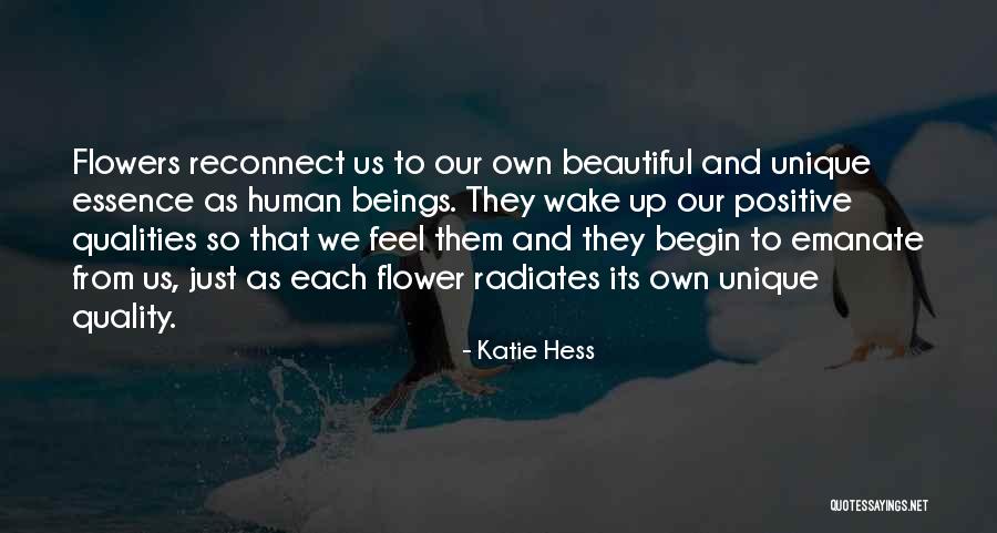 Katie Hess Quotes 1511492 Katie Hess Quotes 1511492
