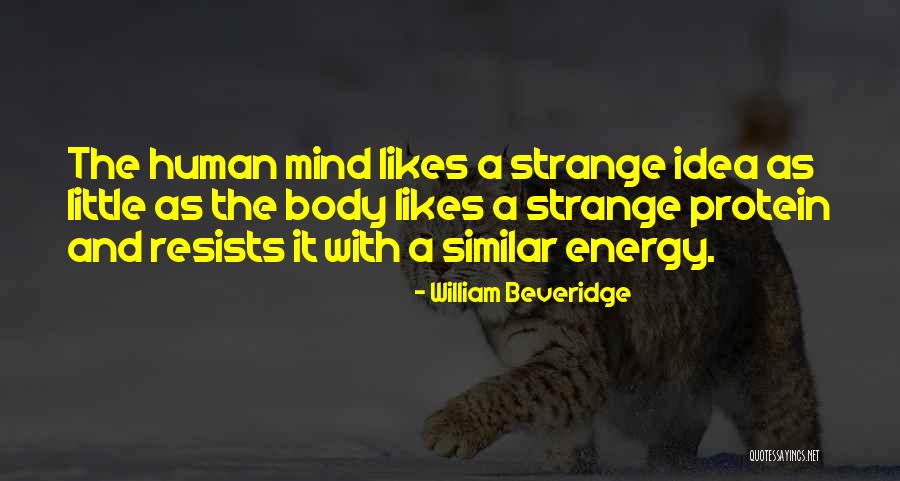 Katsopolis Twins Quotes By William Beveridge Katsopolis Twins Quotes By William Beveridge