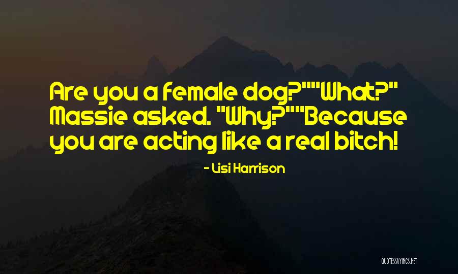 Katsumoto Samurai Quotes By Lisi Harrison Katsumoto Samurai Quotes By Lisi Harrison