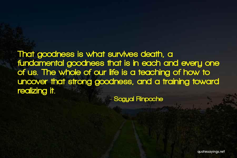 Katsura Kotaro Quotes By Sogyal Rinpoche Katsura Kotaro Quotes By Sogyal Rinpoche