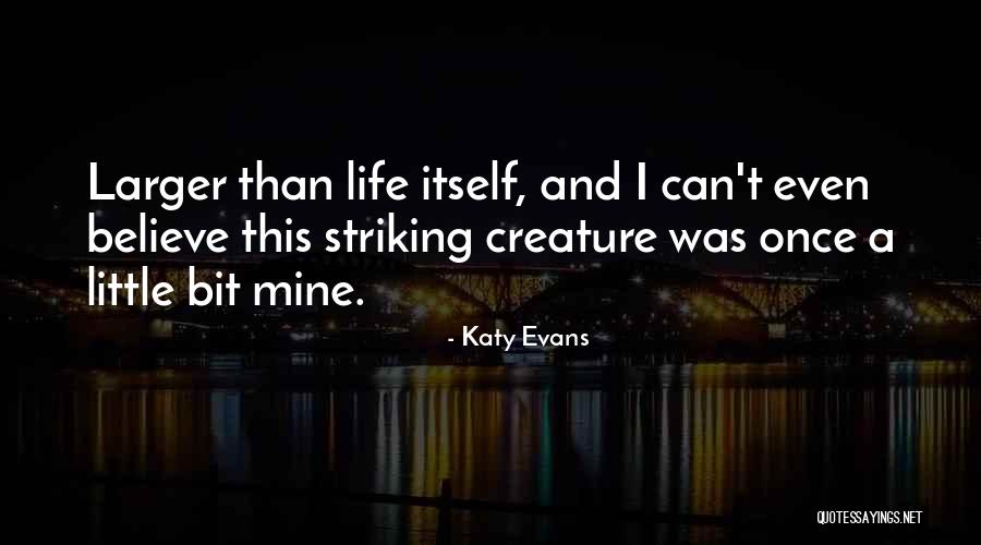 Katy Evans Quotes 1636800