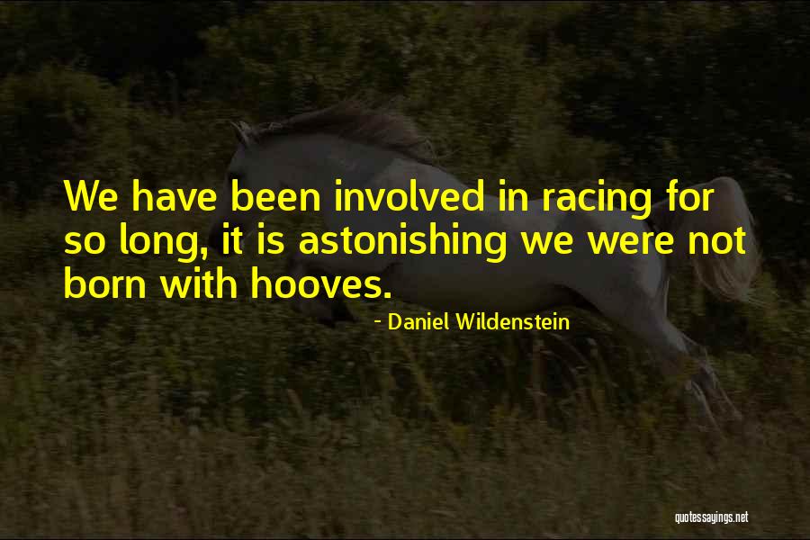 Katydid Insect Quotes By Daniel Wildenstein Katydid Insect Quotes By Daniel Wildenstein