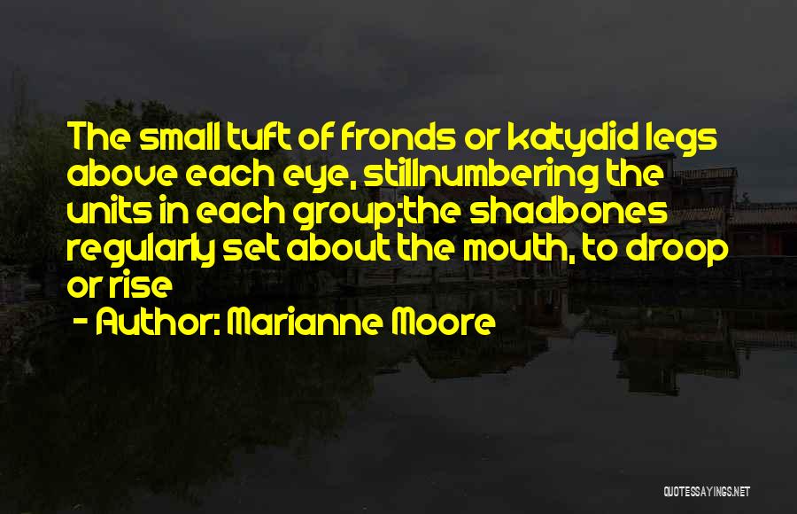 Katydid Quotes By Marianne Moore