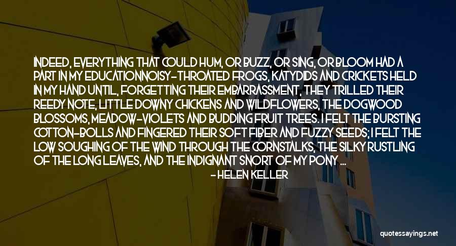 Katydids Quotes By Helen Keller Katydids Quotes By Helen Keller