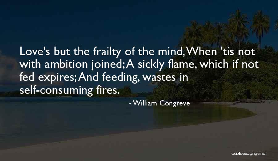 Katzenberg Net Quotes By William Congreve Katzenberg Net Quotes By William Congreve