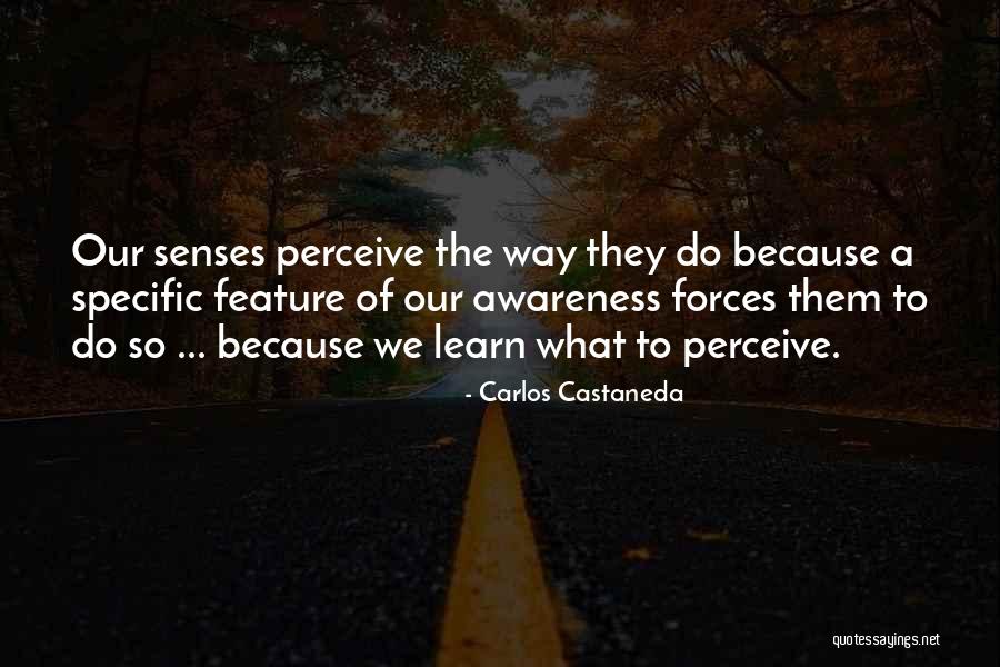 Katzmann Judge Quotes By Carlos Castaneda Katzmann Judge Quotes By Carlos Castaneda