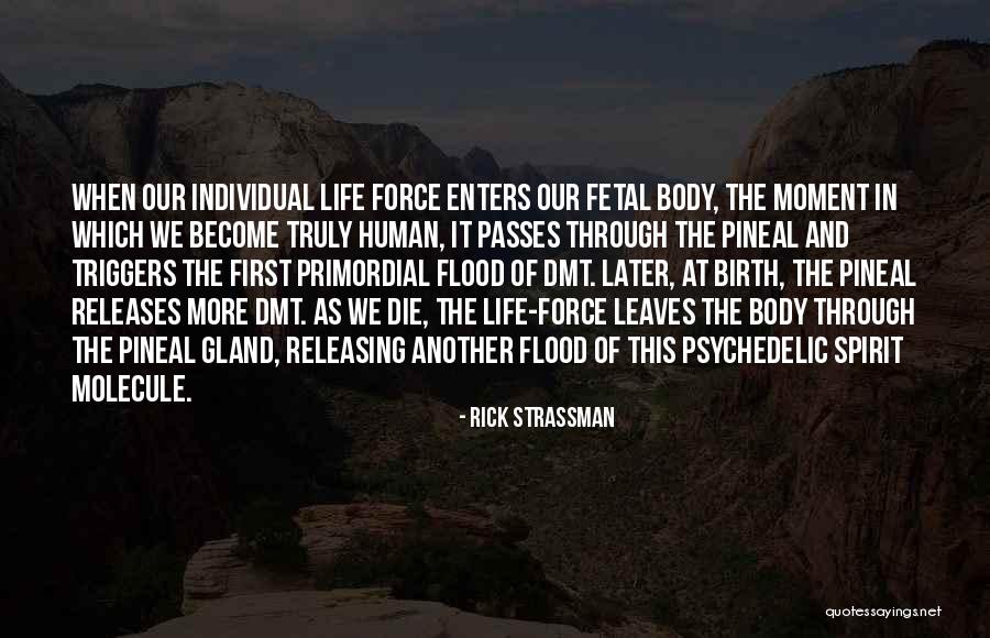 Kauass Quotes By Rick Strassman Kauass Quotes By Rick Strassman
