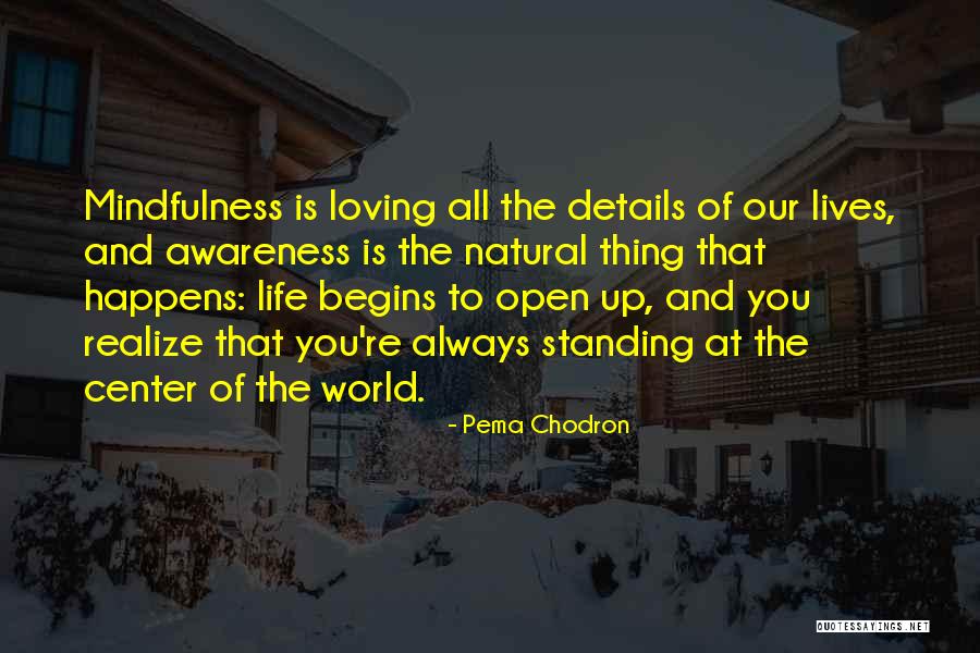 Kauhane Mika Quotes By Pema Chodron Kauhane Mika Quotes By Pema Chodron