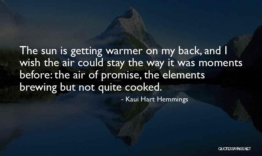 Kaui Hart Hemmings Quotes 2194806