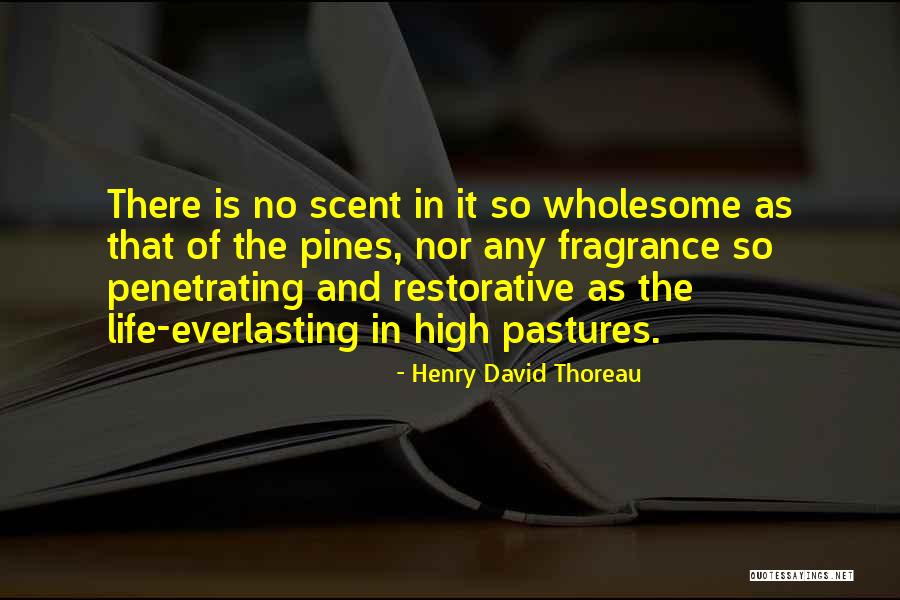 Kauwgomballenmachine Quotes By Henry David Thoreau Kauwgomballenmachine Quotes By Henry David Thoreau
