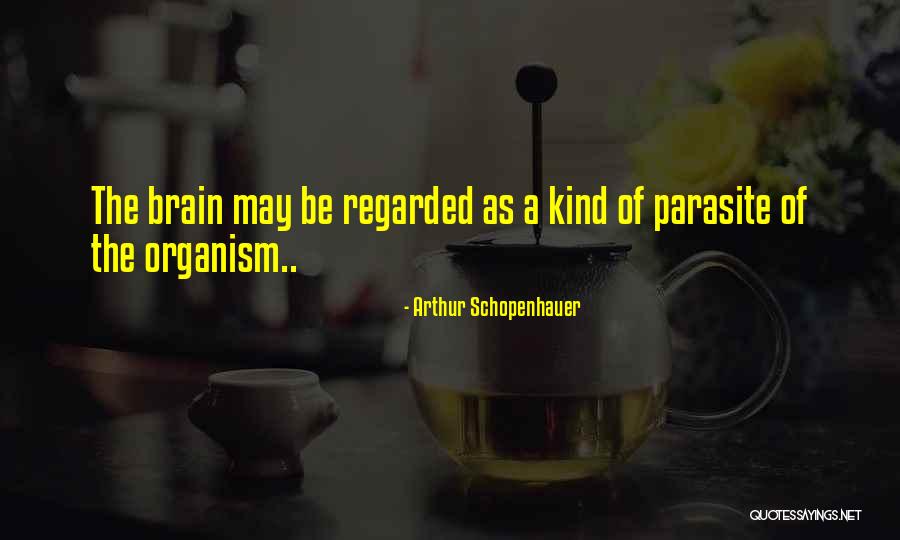 Kaviani Quotes By Arthur Schopenhauer Kaviani Quotes By Arthur Schopenhauer