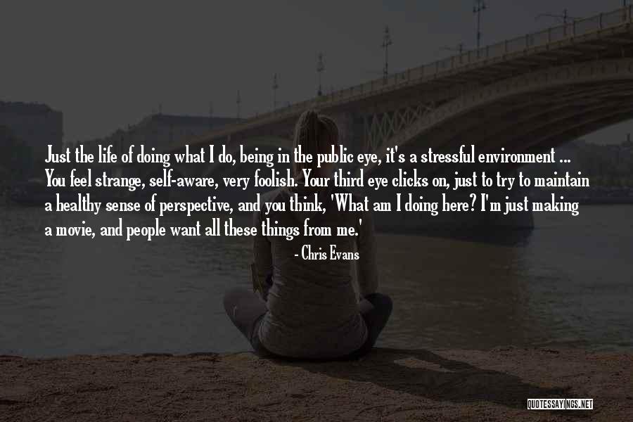 Kavmiyet Ilik Quotes By Chris Evans Kavmiyet Ilik Quotes By Chris Evans