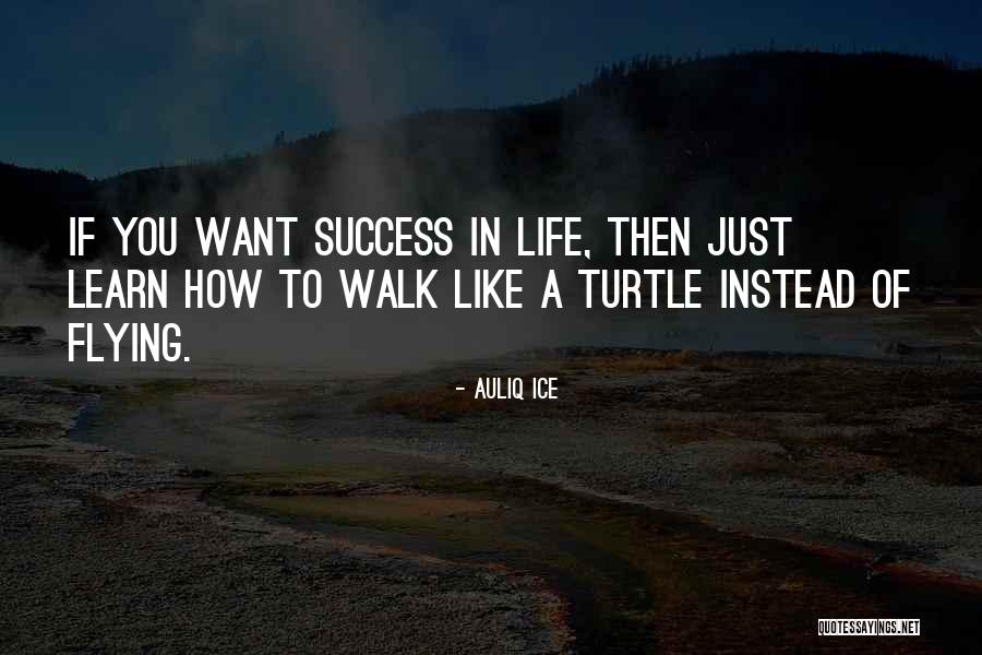Kavtaradze Street Quotes By Auliq Ice Kavtaradze Street Quotes By Auliq Ice