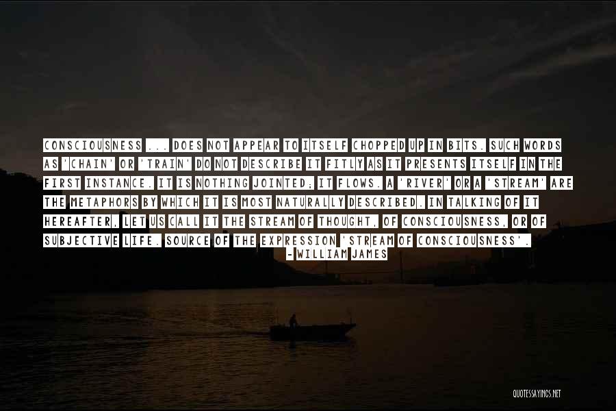 Kawachiya Foods Quotes By William James Kawachiya Foods Quotes By William James