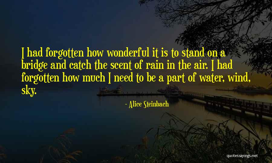 Kawalan Kualiti Quotes By Alice Steinbach Kawalan Kualiti Quotes By Alice Steinbach