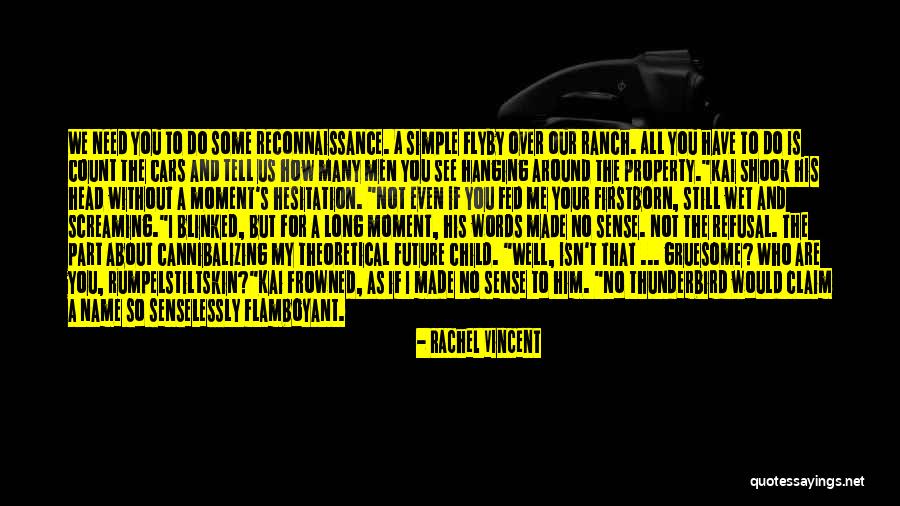 Kawaly Dowcipy Quotes By Rachel Vincent Kawaly Dowcipy Quotes By Rachel Vincent