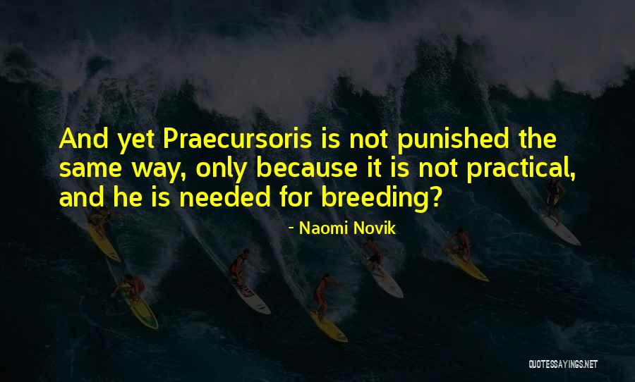 Kawata Dental Quotes By Naomi Novik Kawata Dental Quotes By Naomi Novik