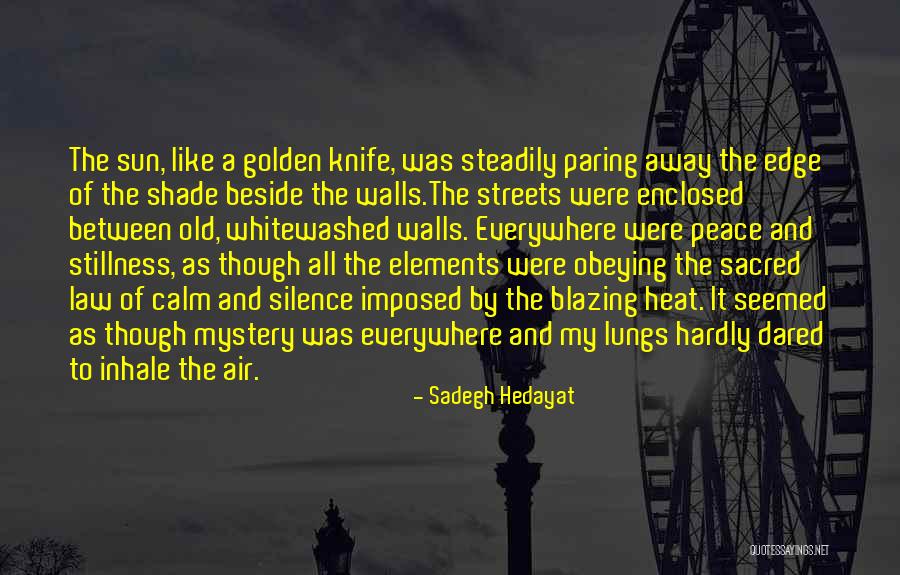 Kawula Drink Quotes By Sadegh Hedayat