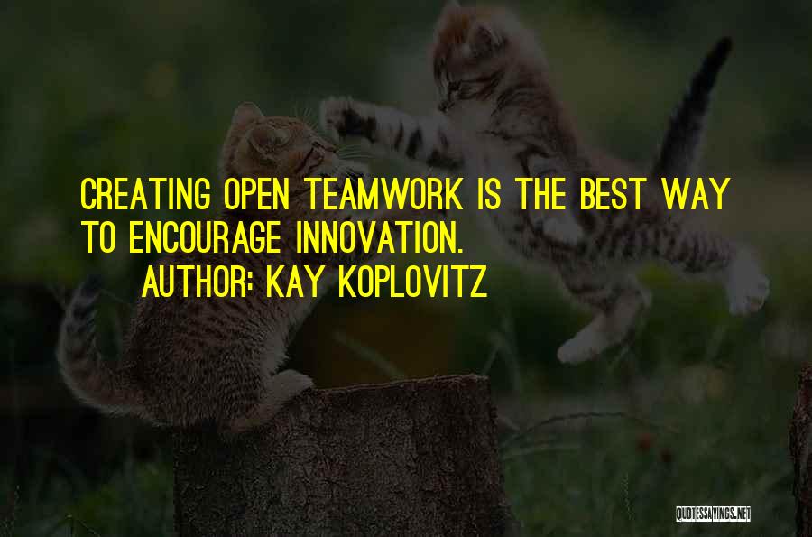 Kay Koplovitz Quotes 1223935