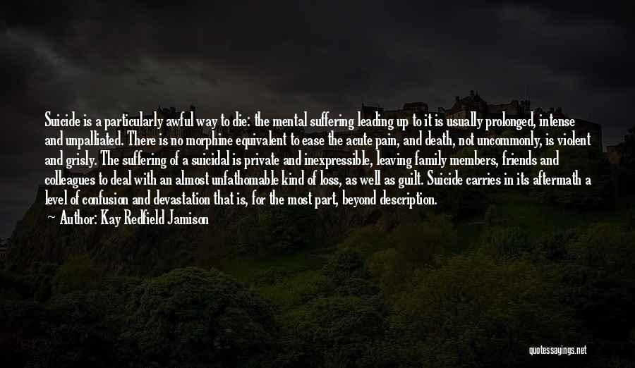 Kay Redfield Jamison Quotes 1697486