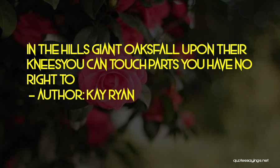 Kay Ryan Quotes 1101028