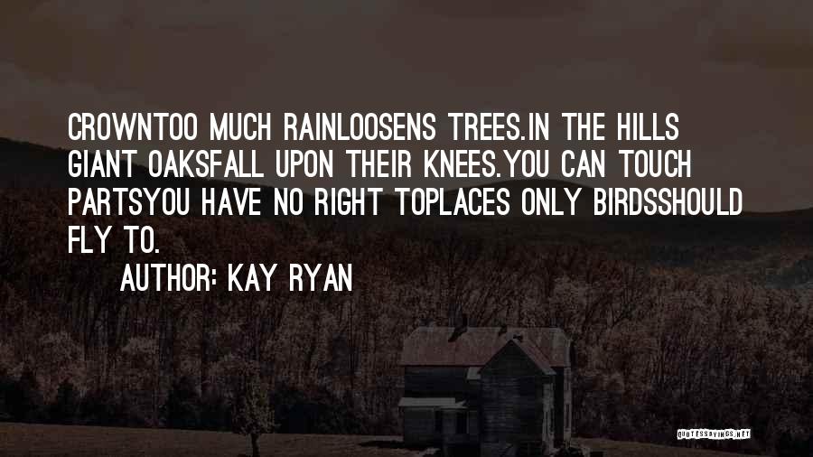 Kay Ryan Quotes 461129