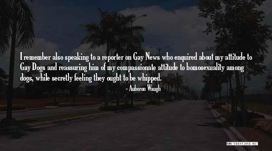 Kayako The Grudge Quotes By Auberon Waugh Kayako The Grudge Quotes By Auberon Waugh
