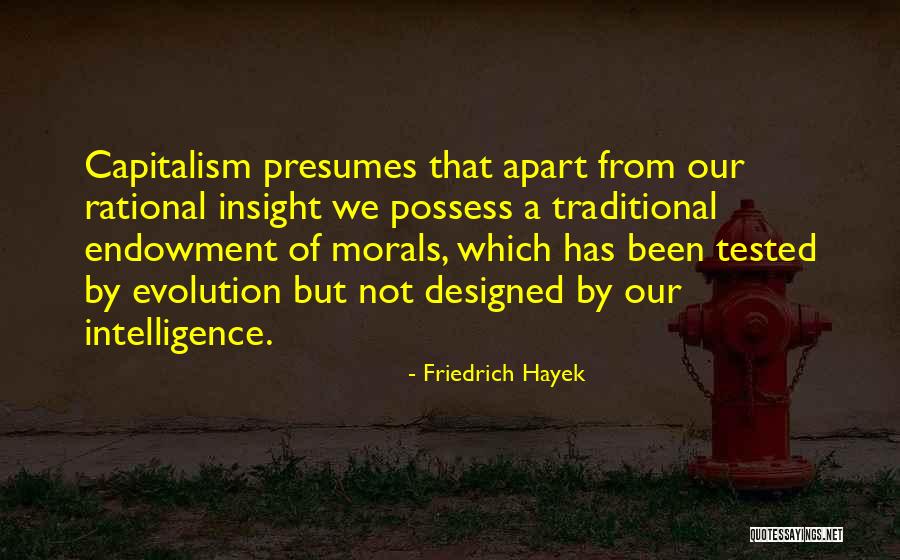 Kayla Mae Stylist Quotes By Friedrich Hayek