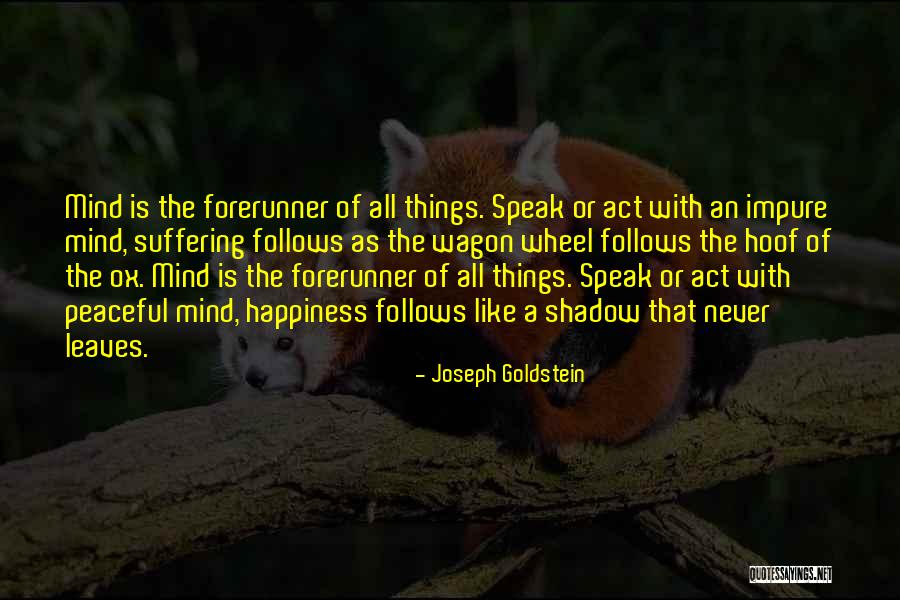 Kays Stock Quotes By Joseph Goldstein Kays Stock Quotes By Joseph Goldstein