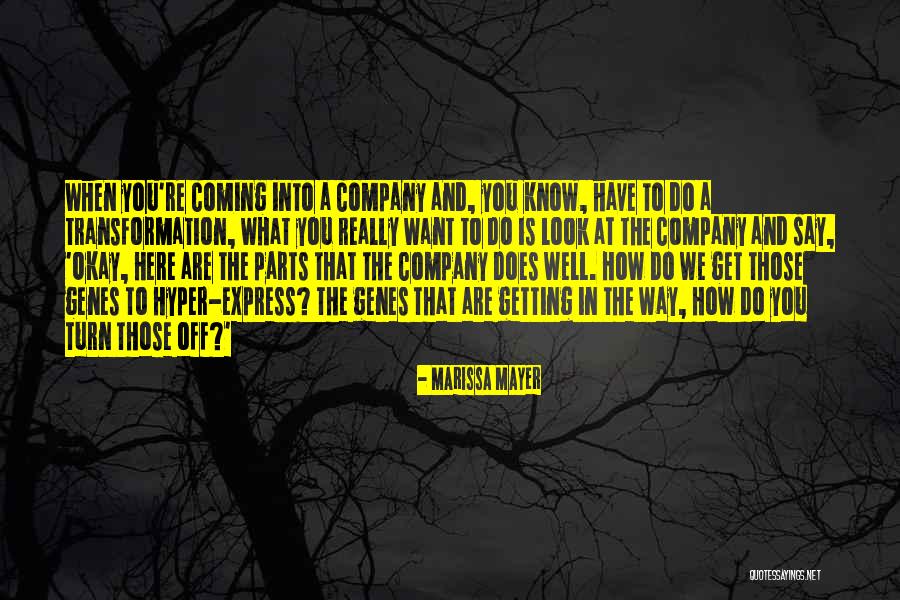 Kayserlings Christopher Quotes By Marissa Mayer Kayserlings Christopher Quotes By Marissa Mayer