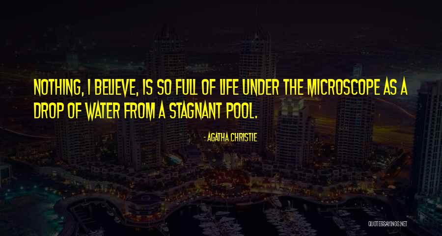 Kayte Grammer Quotes By Agatha Christie Kayte Grammer Quotes By Agatha Christie
