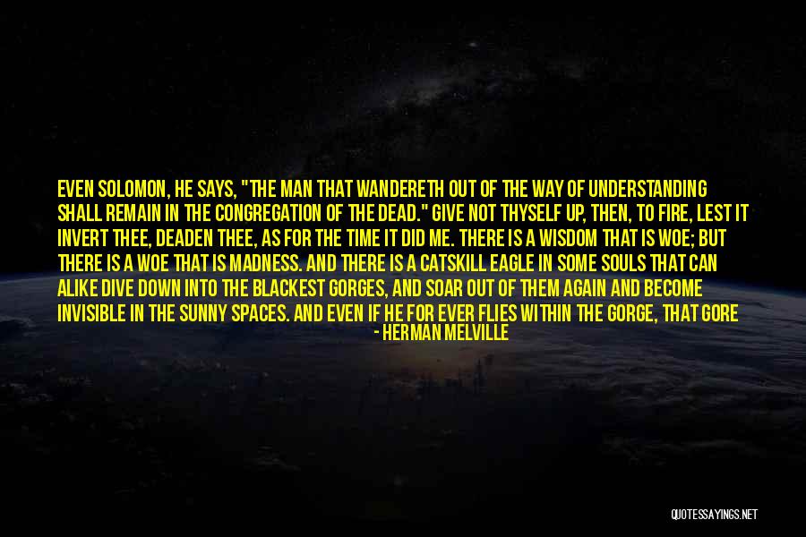 Kaytin Enterprises Quotes By Herman Melville Kaytin Enterprises Quotes By Herman Melville