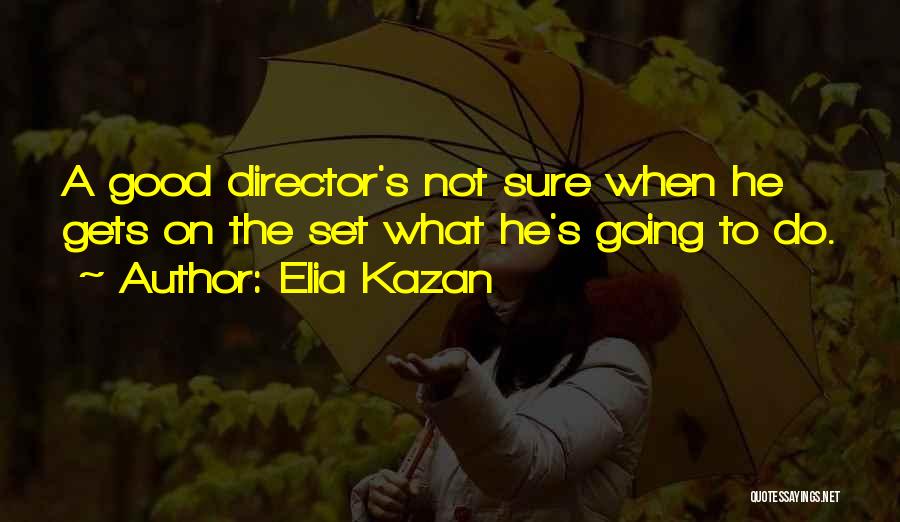 Kazan Quotes By Elia Kazan