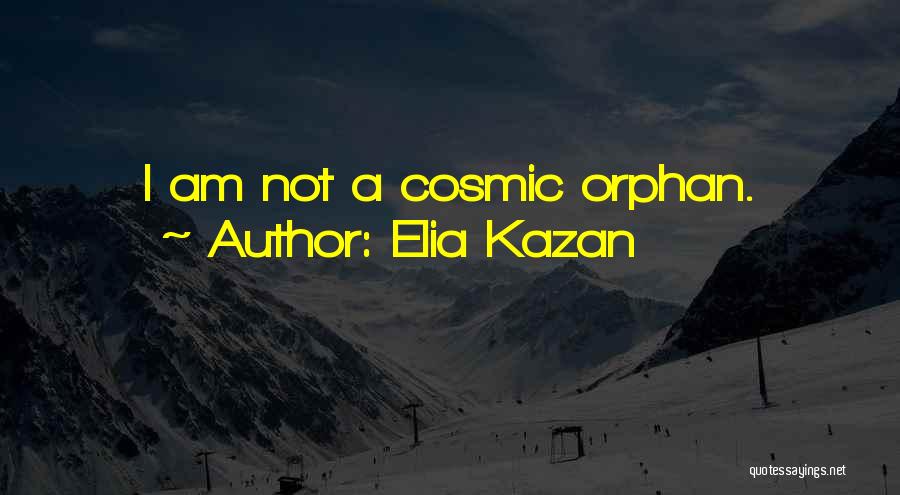 Kazan Quotes By Elia Kazan