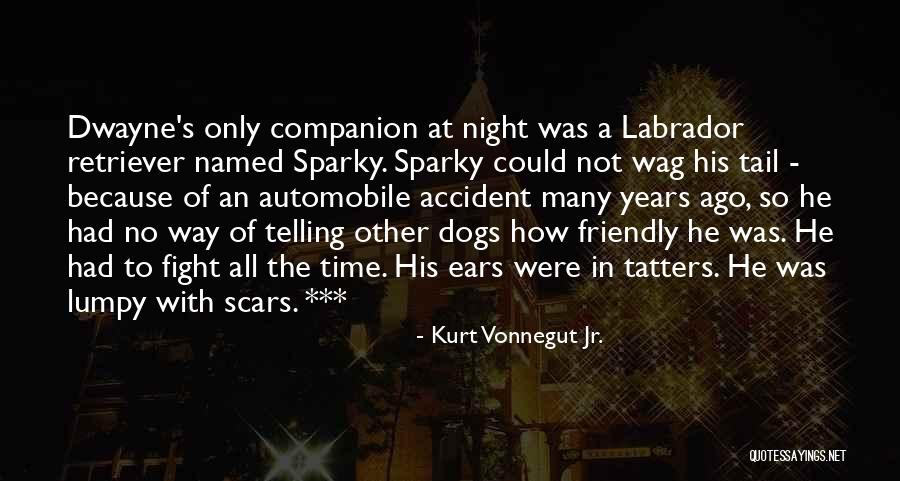 Kazincbarcika Quotes By Kurt Vonnegut Jr. Kazincbarcika Quotes By Kurt Vonnegut Jr.