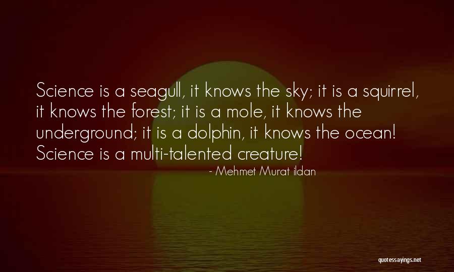 Kazzaz Marble Quotes By Mehmet Murat Ildan Kazzaz Marble Quotes By Mehmet Murat Ildan