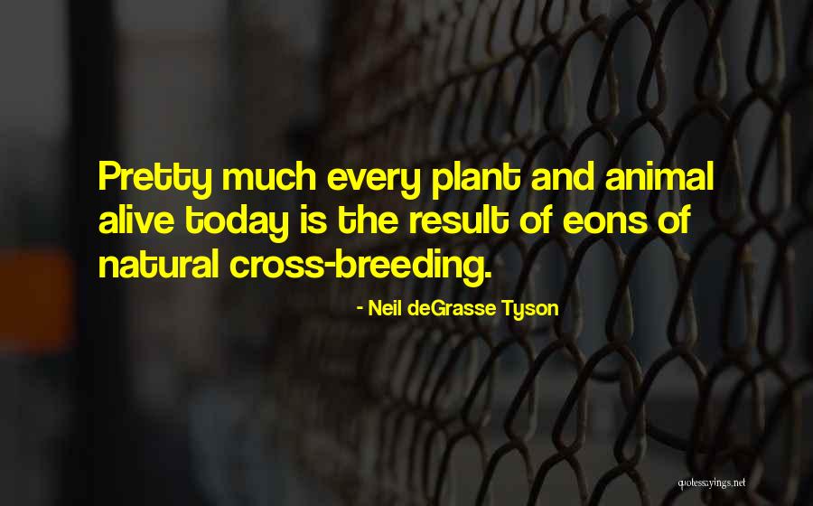 Kcmg Award Quotes By Neil DeGrasse Tyson Kcmg Award Quotes By Neil DeGrasse Tyson