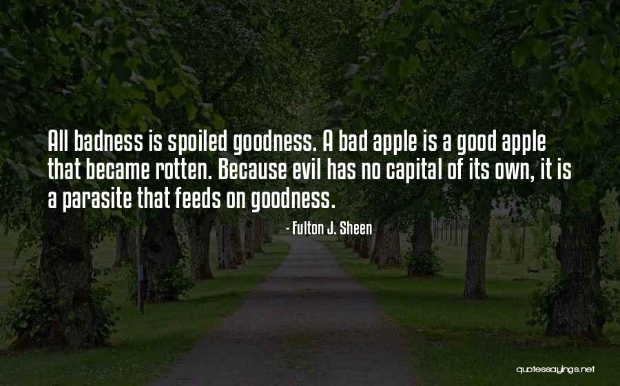 Kcrw Morning Quotes By Fulton J. Sheen Kcrw Morning Quotes By Fulton J. Sheen