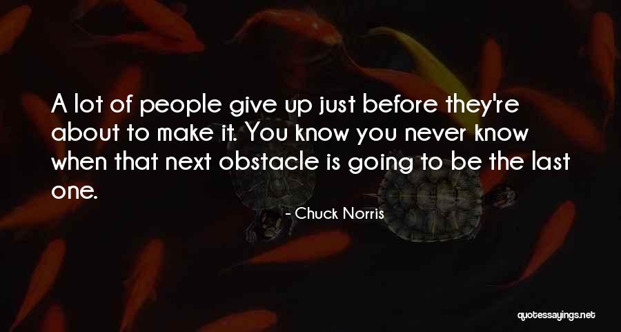 Kdybys Quotes By Chuck Norris Kdybys Quotes By Chuck Norris