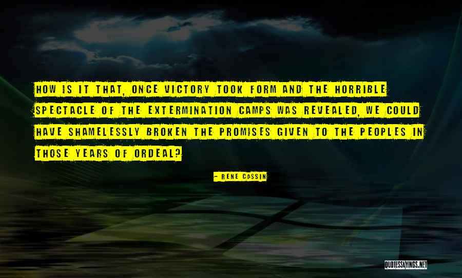 Kdybyste Quotes By Rene Cassin Kdybyste Quotes By Rene Cassin