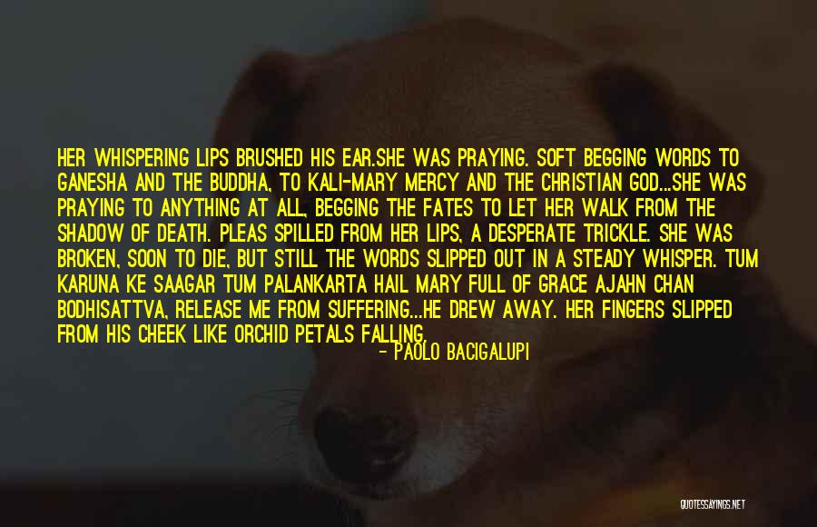 Ke Quotes By Paolo Bacigalupi Ke Quotes By Paolo Bacigalupi
