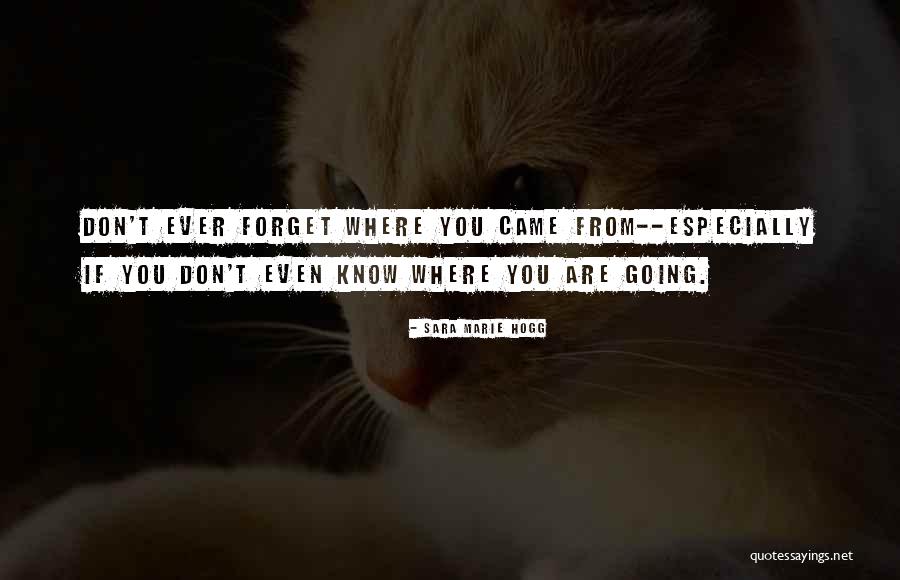 Keagamaan India Quotes By Sara Marie Hogg Keagamaan India Quotes By Sara Marie Hogg