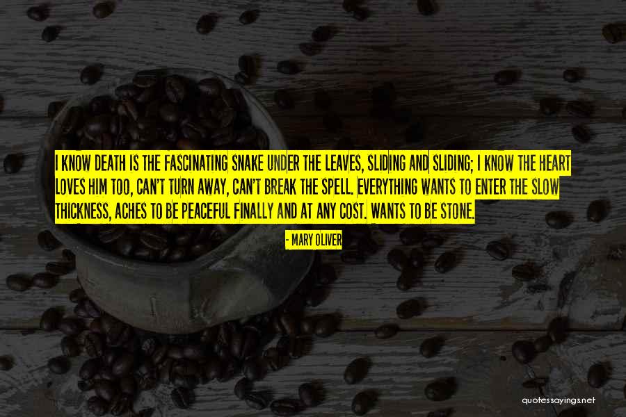 Keanehan Di Quotes By Mary Oliver Keanehan Di Quotes By Mary Oliver