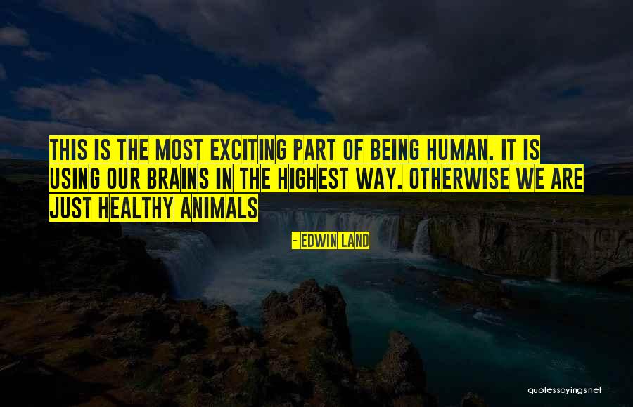 Kearys Quotes By Edwin Land Kearys Quotes By Edwin Land