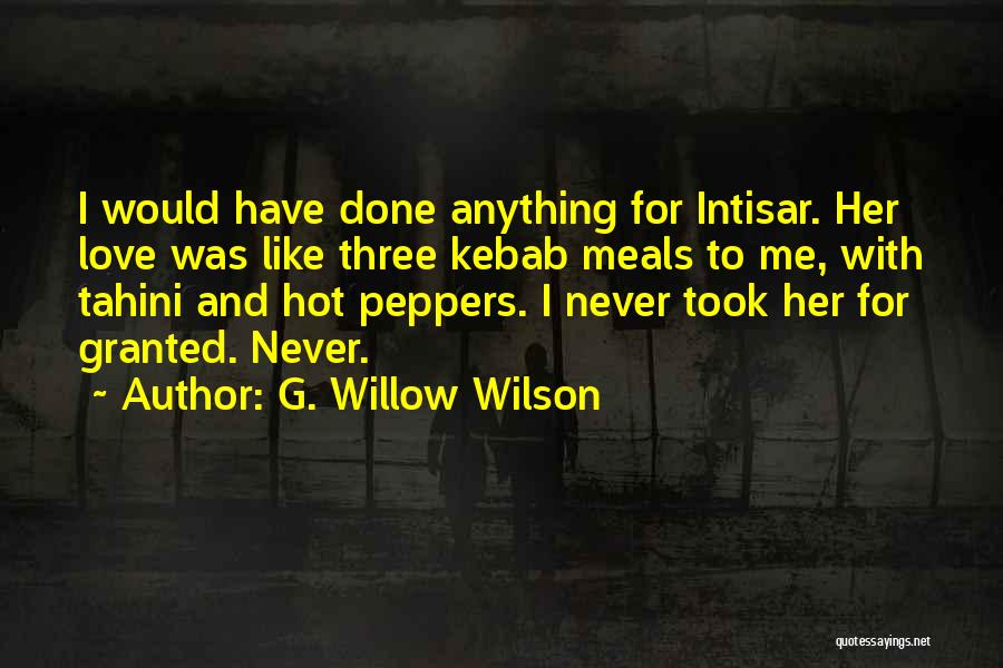 Kebab Quotes By G. Willow Wilson