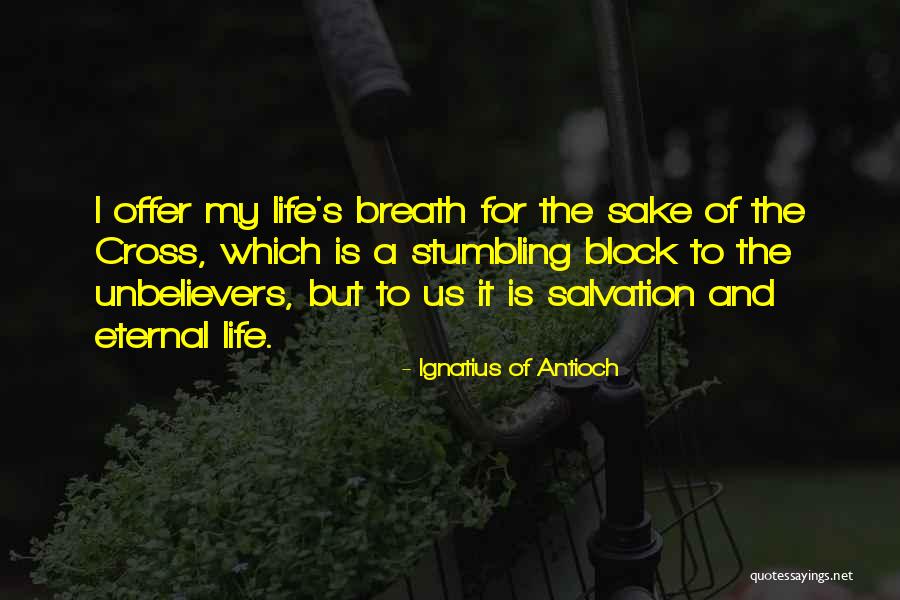 Kebingungan In English Quotes By Ignatius Of Antioch Kebingungan In English Quotes By Ignatius Of Antioch