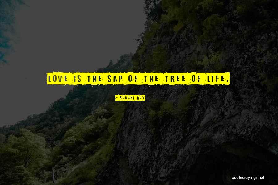 Kebschull 35 70 Quotes By Banani Ray Kebschull 35 70 Quotes By Banani Ray