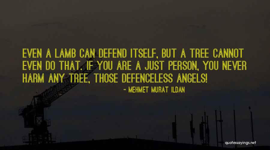 Keckley Quotes By Mehmet Murat Ildan Keckley Quotes By Mehmet Murat Ildan