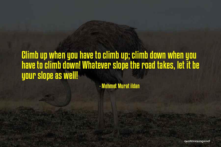 Kedryn Evenson Quotes By Mehmet Murat Ildan Kedryn Evenson Quotes By Mehmet Murat Ildan
